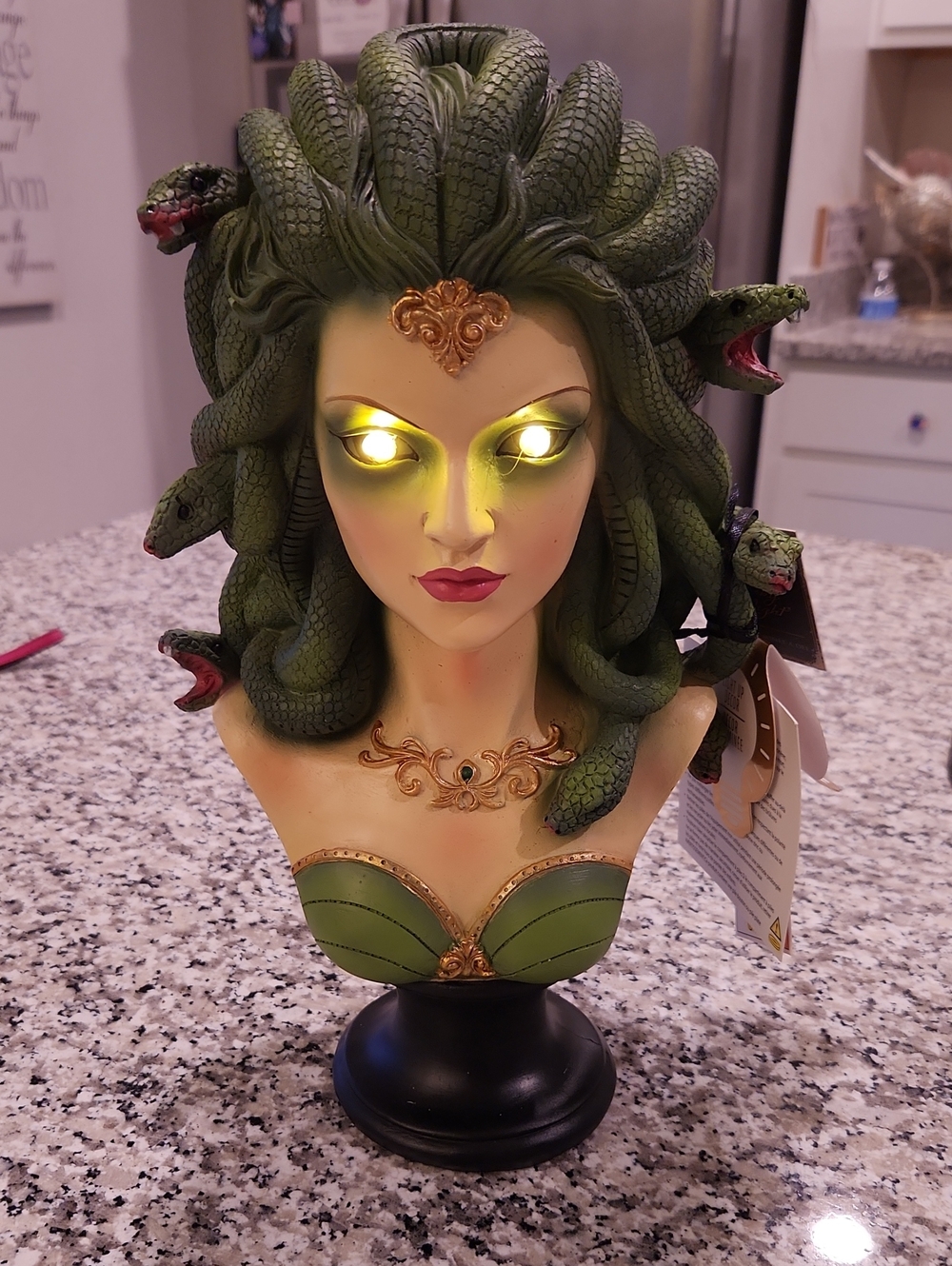 Medusa Halloween Light Up Mold